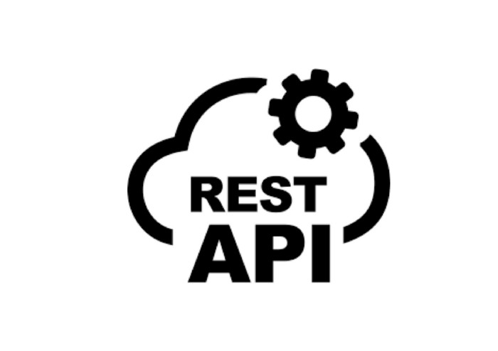 Rest API testing