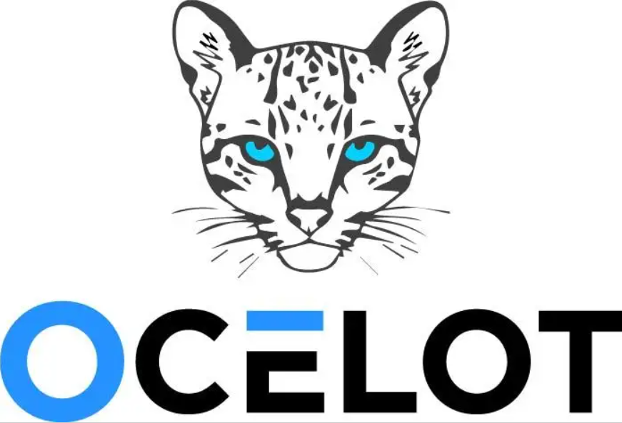 Ocelot API Gateway Training